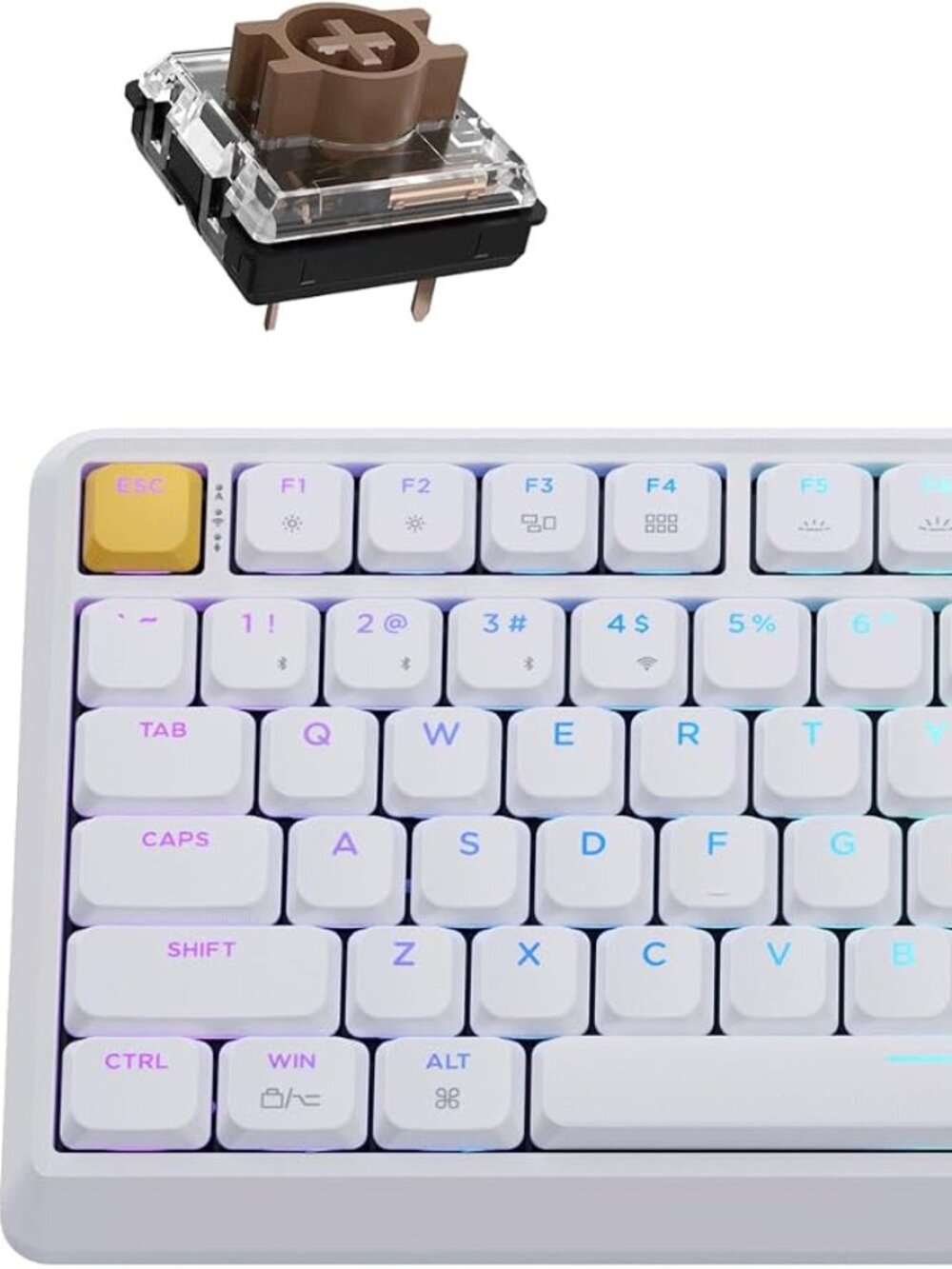JamesDonkey J4 Wireless Mechanical Keyboard • White • Brown Tactile • New in Box - Picture 8 of 8